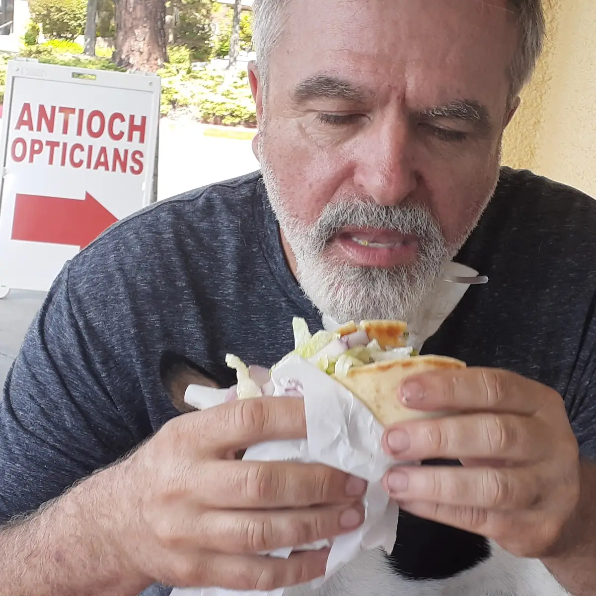 Gyro on Pita Mild
