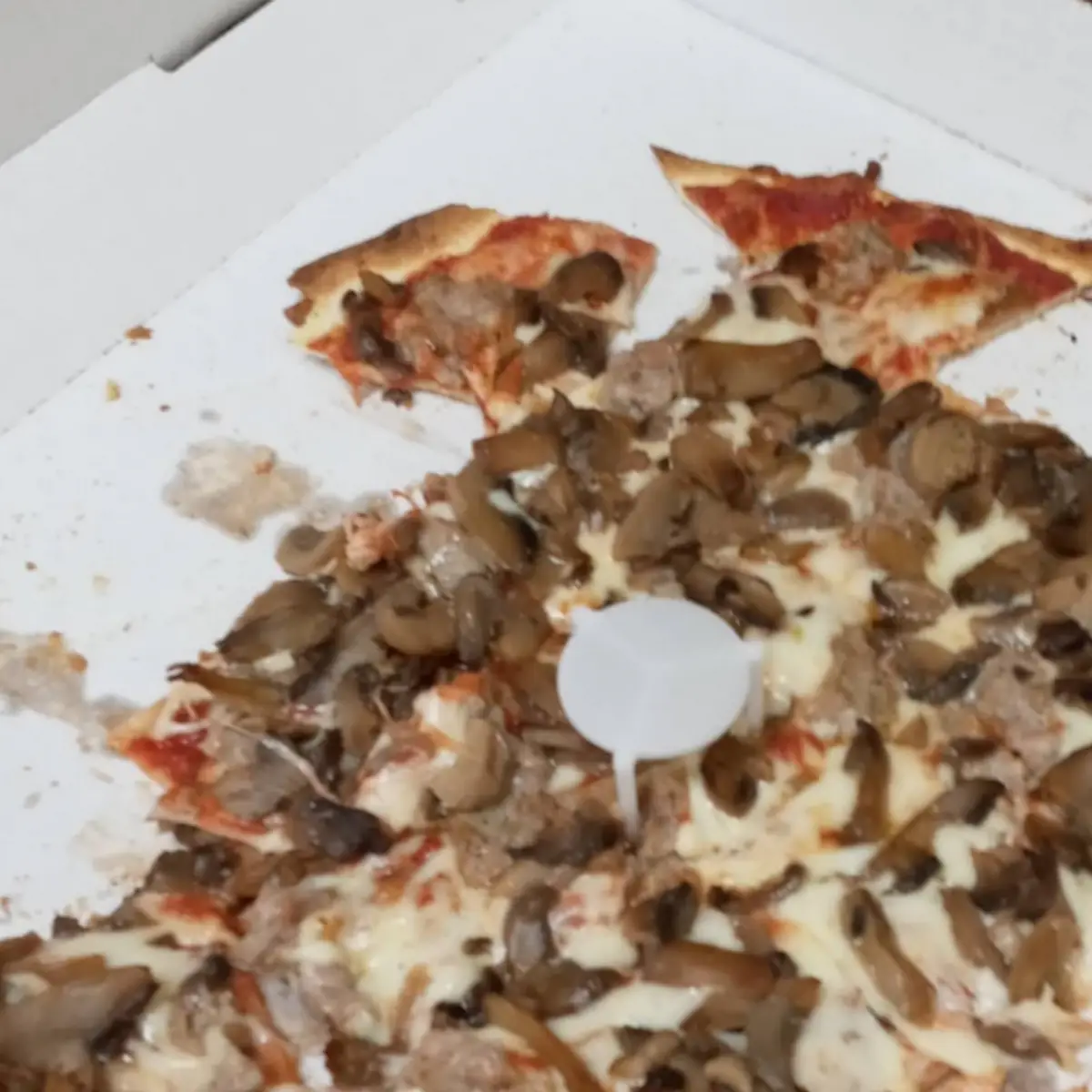 Mushroom Pizza Margherita