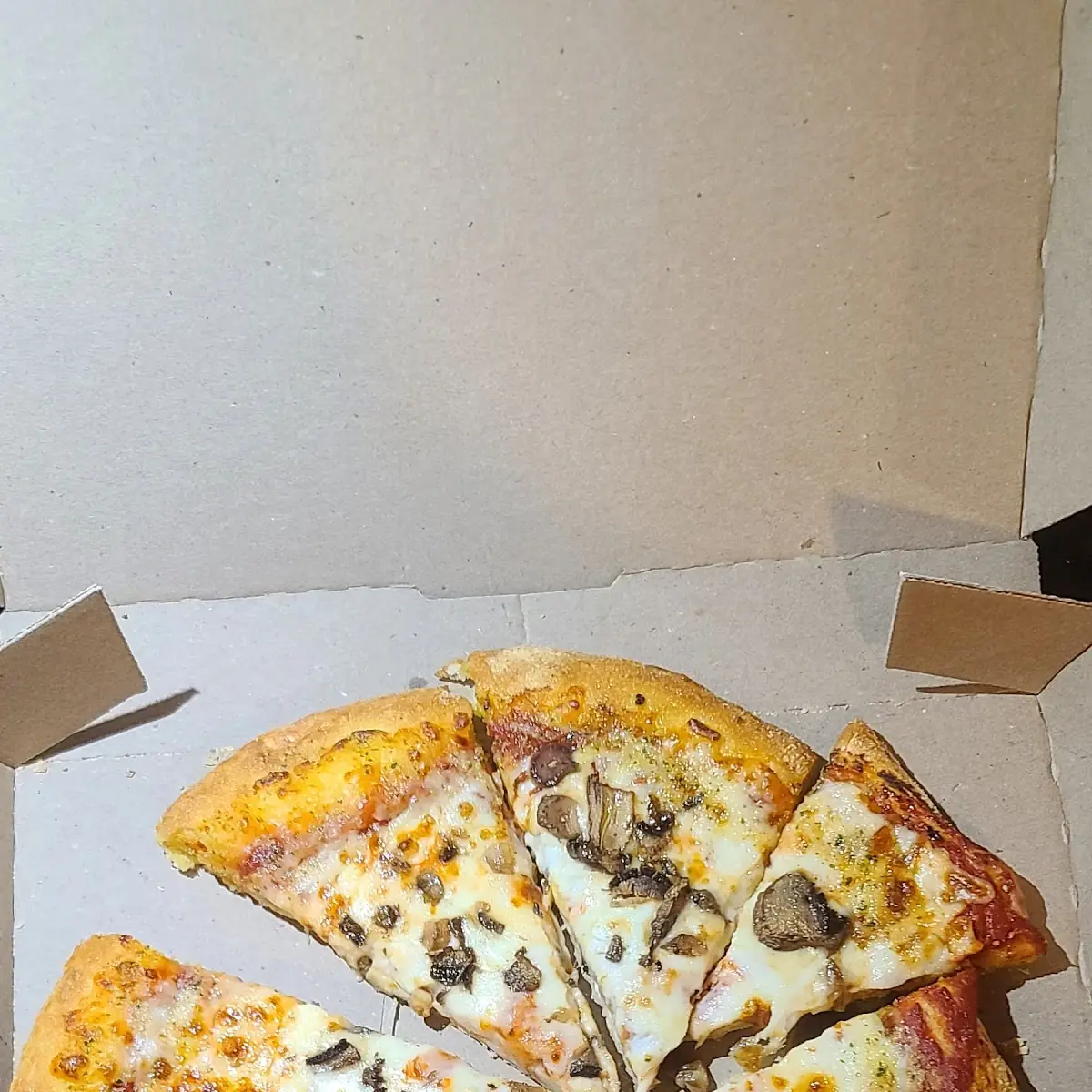 Mushroom Pizza