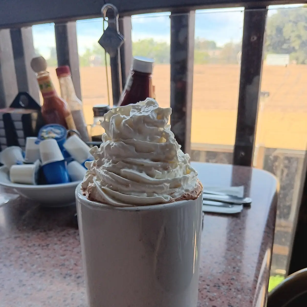 Hot Cocoa with Whipped Cream