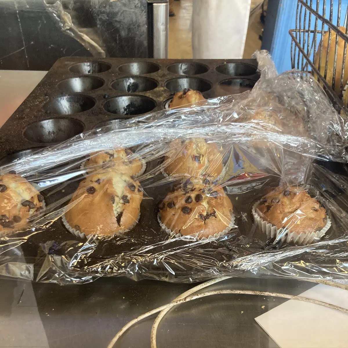 Chocolate Chip Muffin