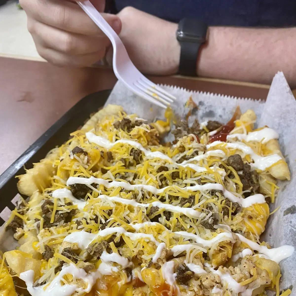 Carne Asada Fries