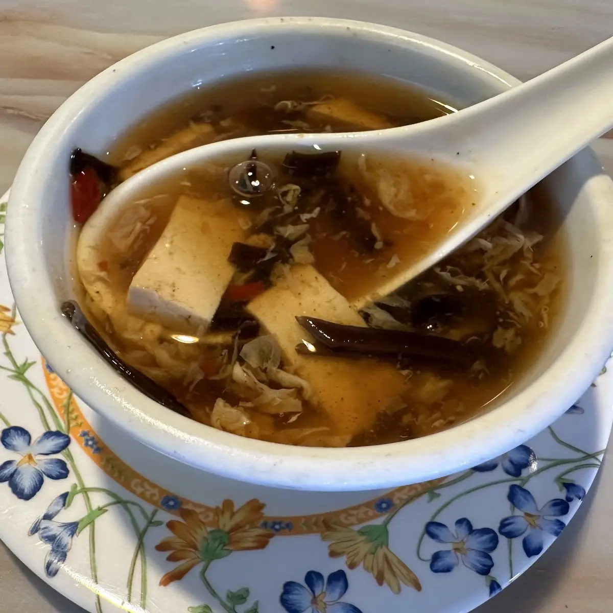 Hot and Sour Soup