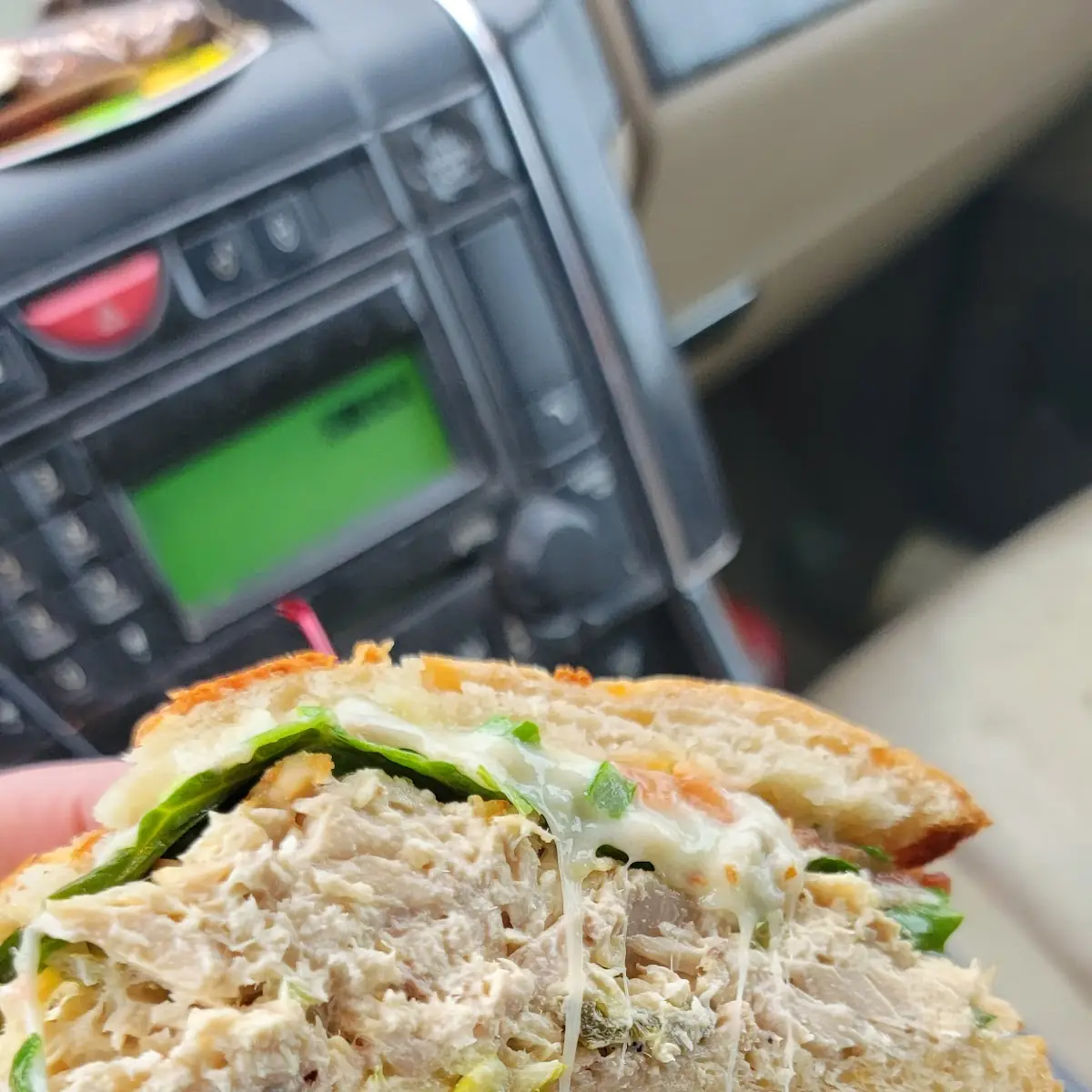 Tuna Melt