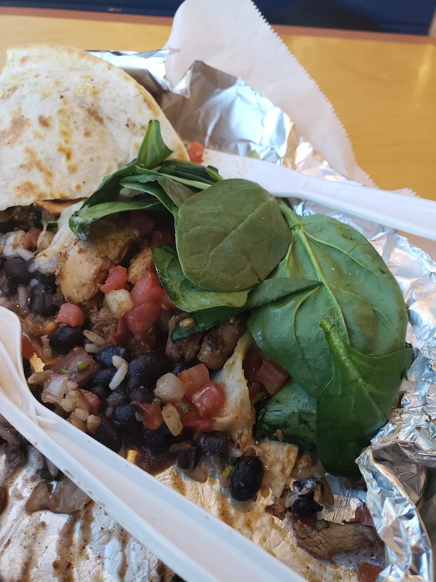 Spicy Chicken Quesadilla