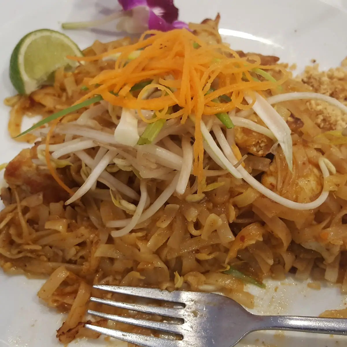Pad Thai Chicken and Shrimp