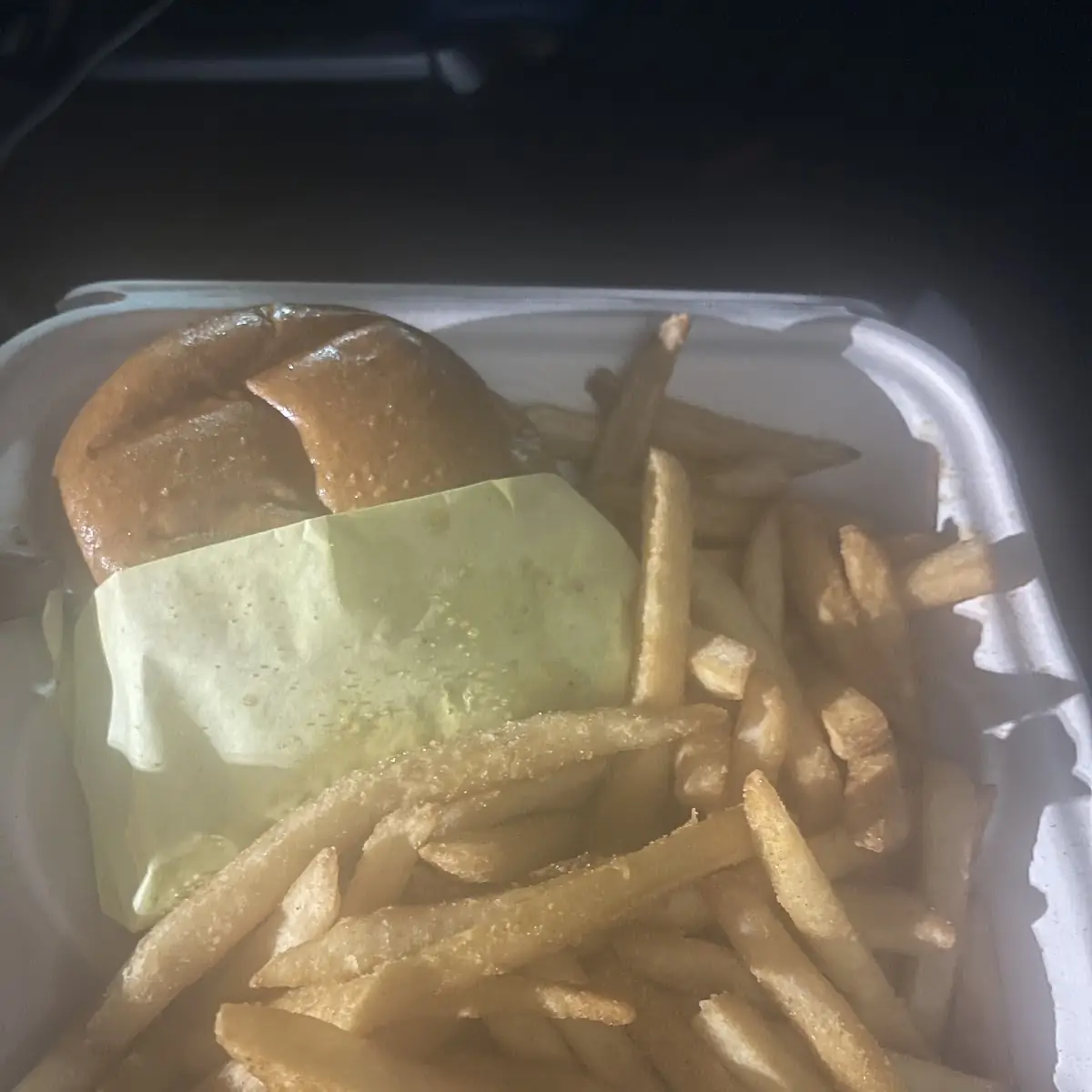 Grilled Cheese & Kids Fries
