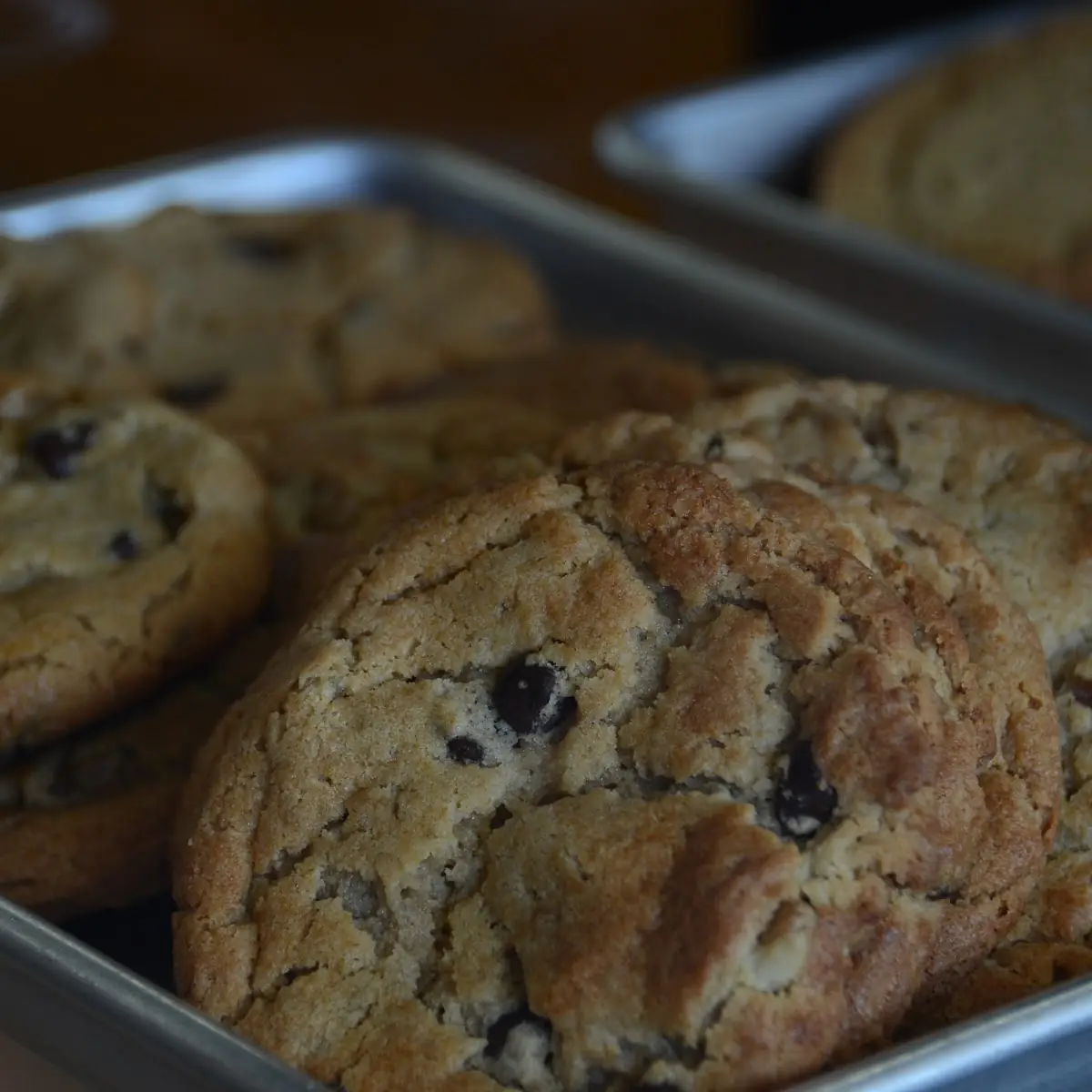Chocolate Chip Cookie