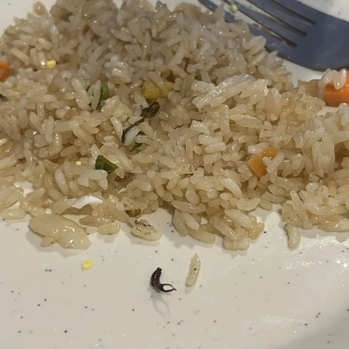 Brown Rice