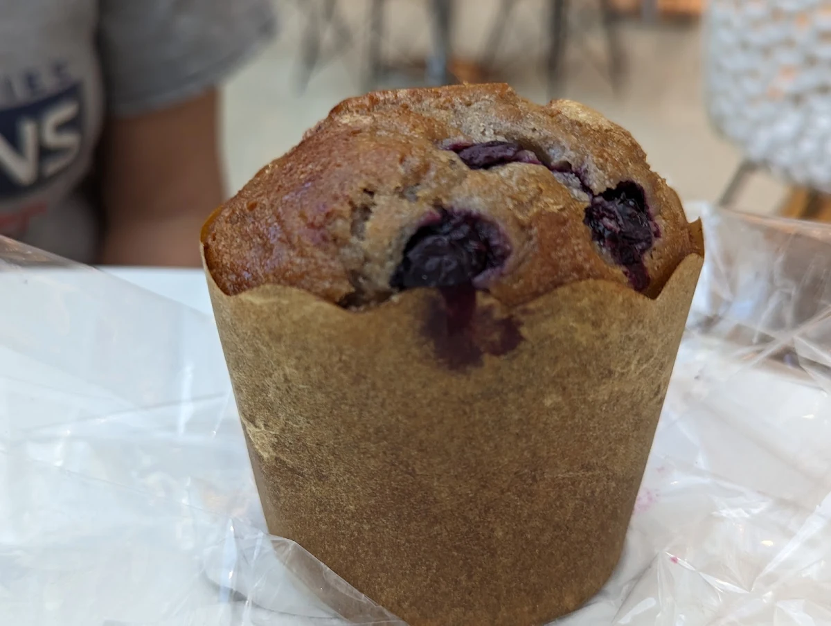 Blueberry Muffin
