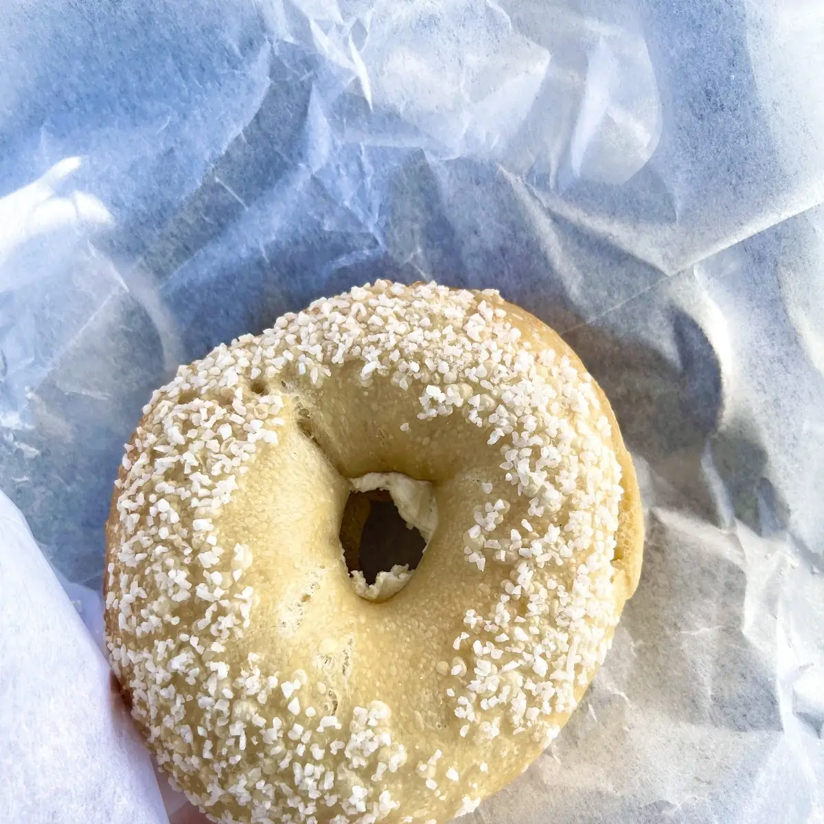 Salt Bagel
