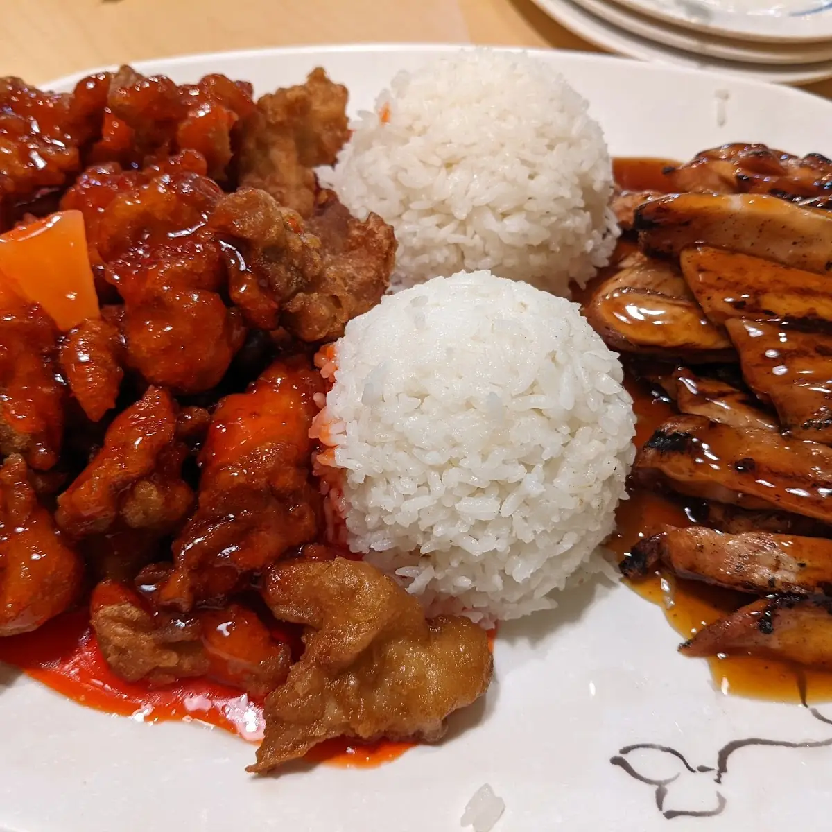 Sweet and Sour Chicken and Teriyaki Chicken