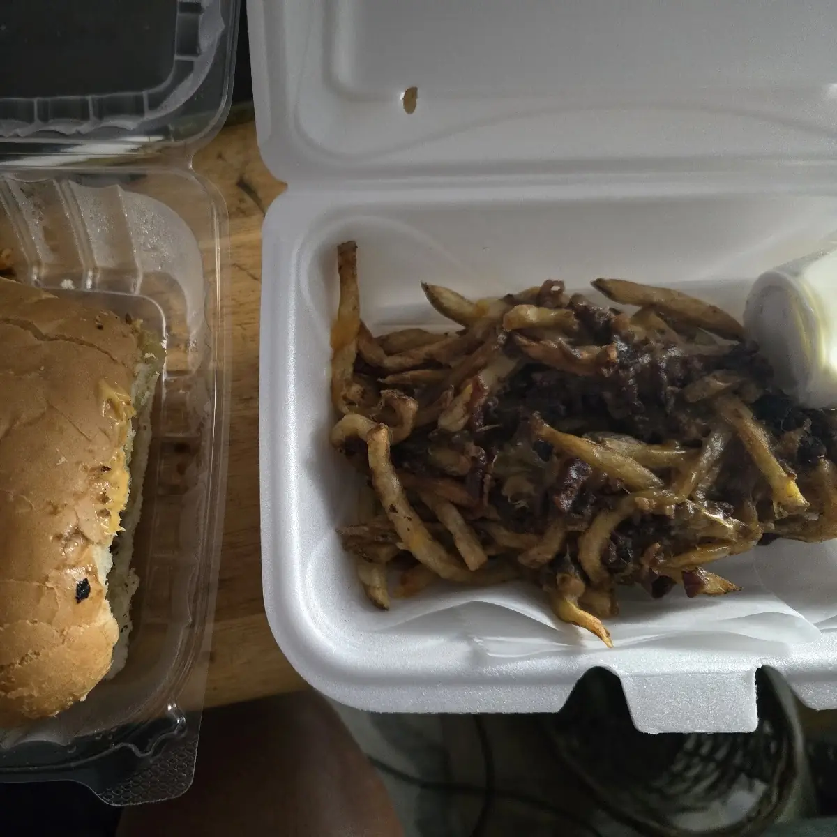 Terminator Sub and Loaded Fries