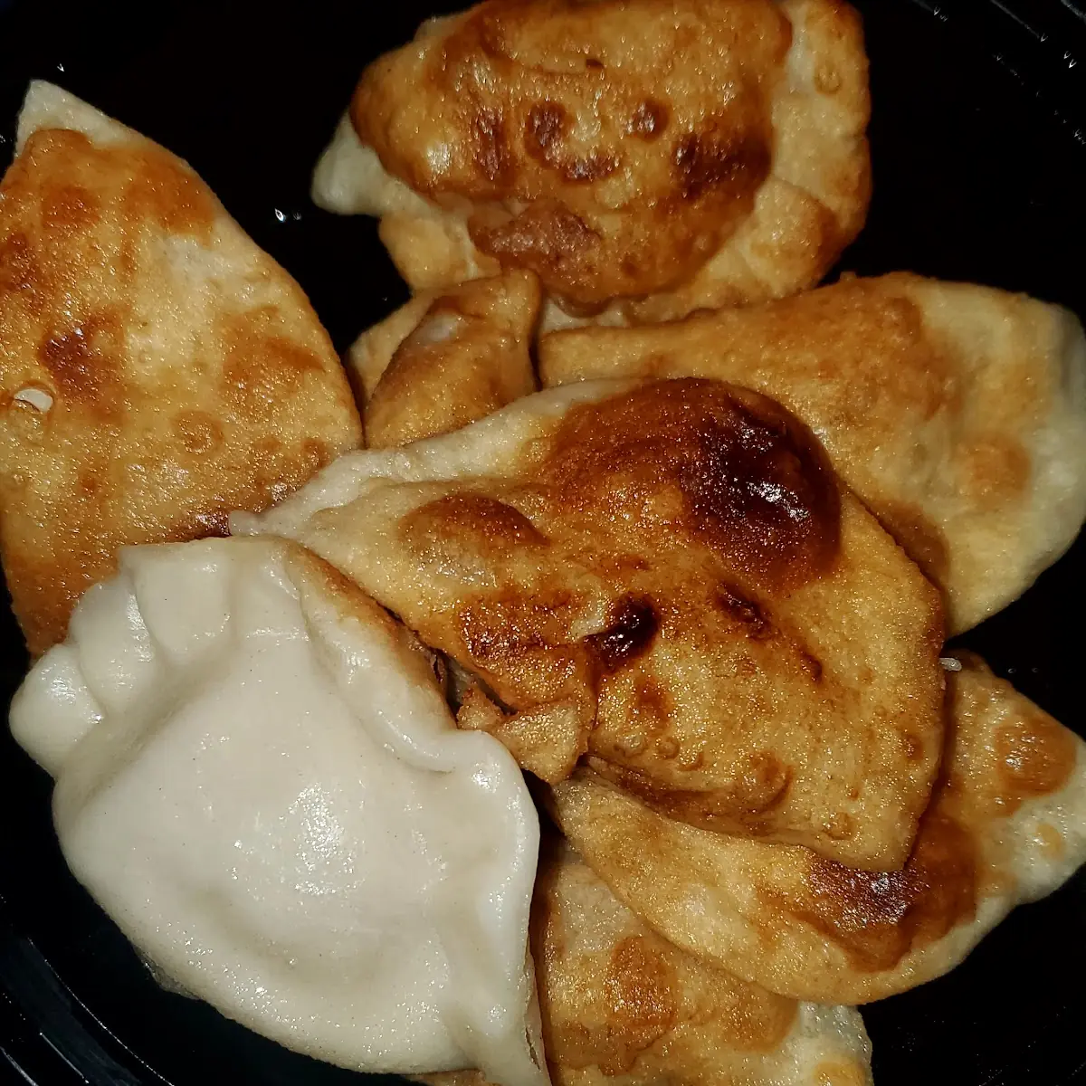 Fried or Steamed Pork Dumplings 8