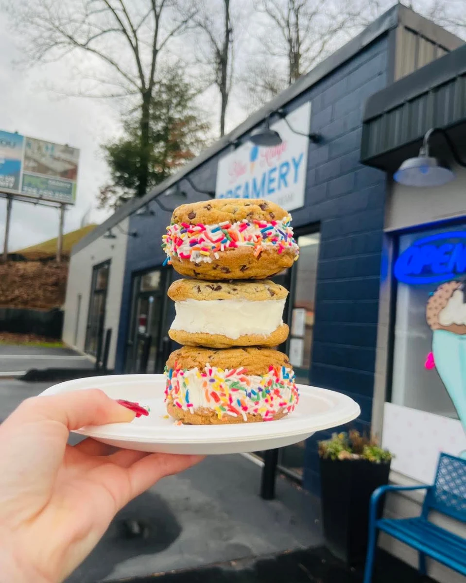 Ice Cream Sandwich