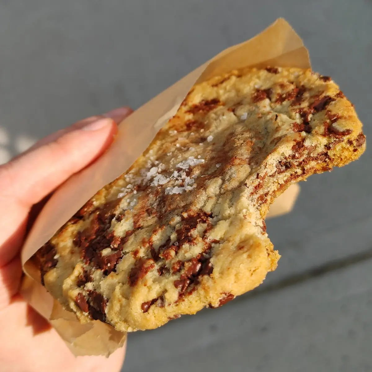 Vegan Chocolate Chip