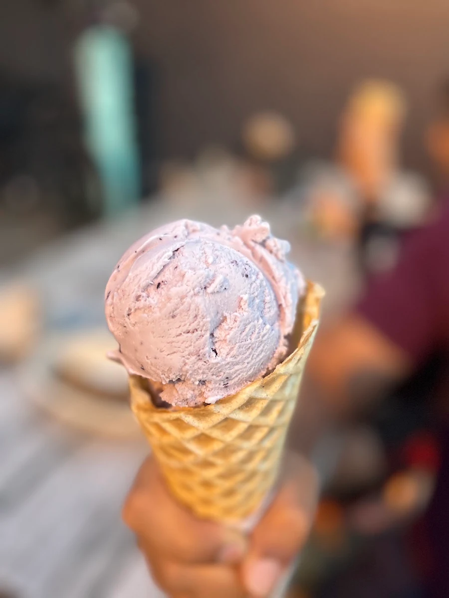 Huckleberry Scoop in Homemade Waffle Cone