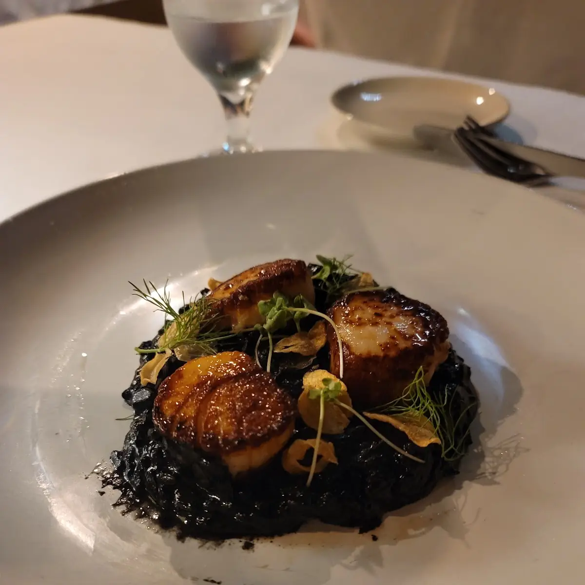 Diver Scallops