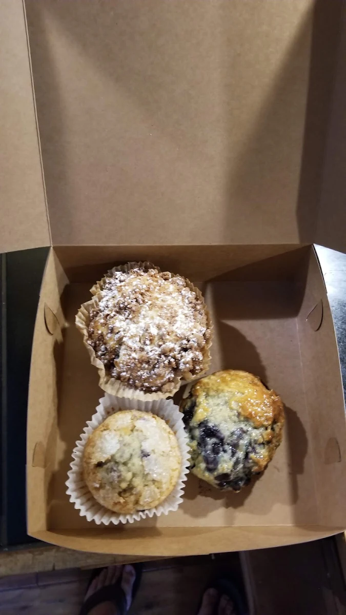 Blueberry Muffin