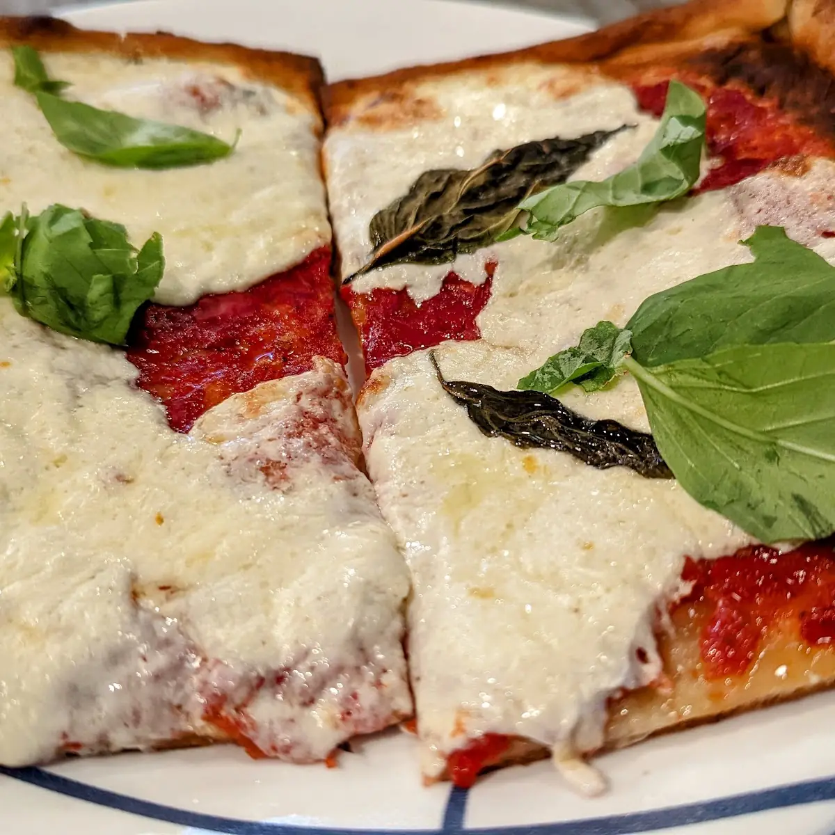 Square Margherita Pizza