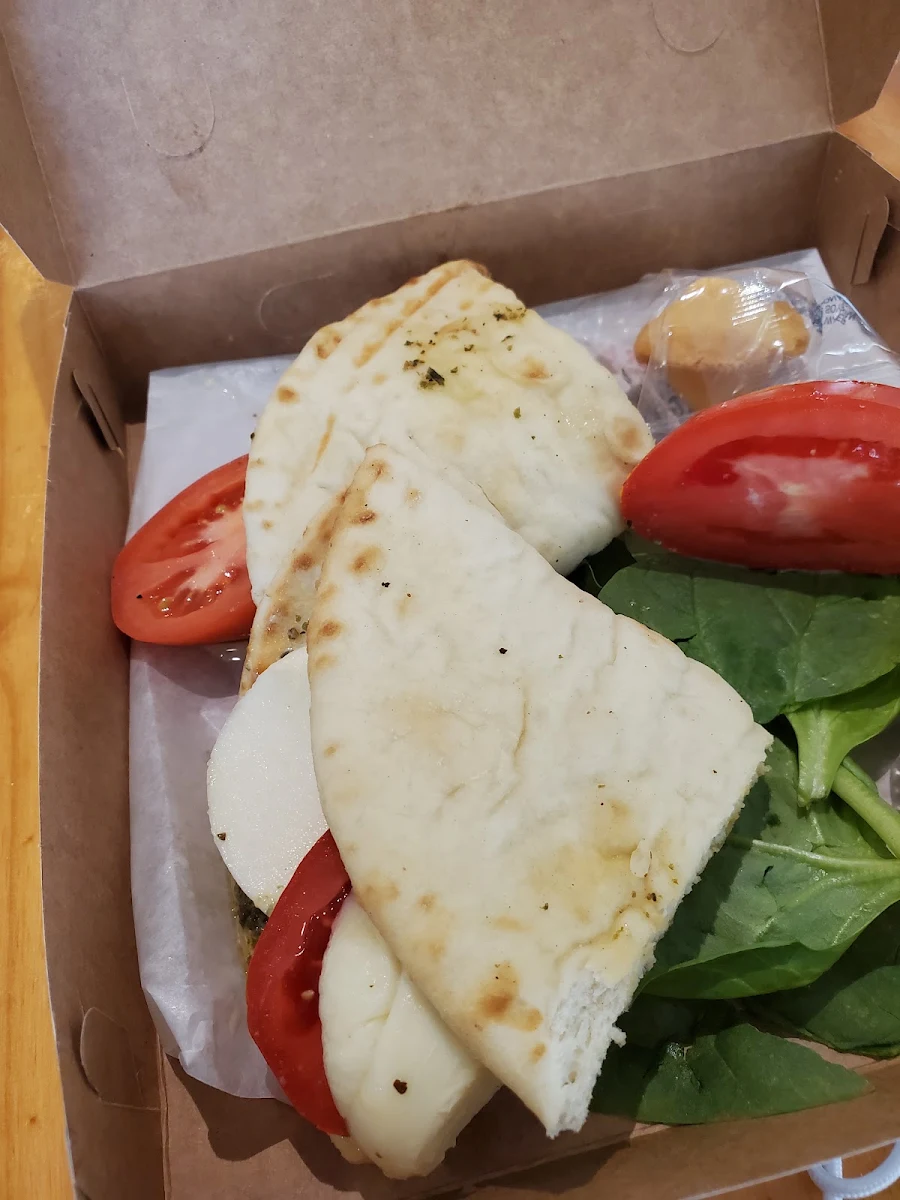 Warm Mozzerlla Tomato Basil Pita