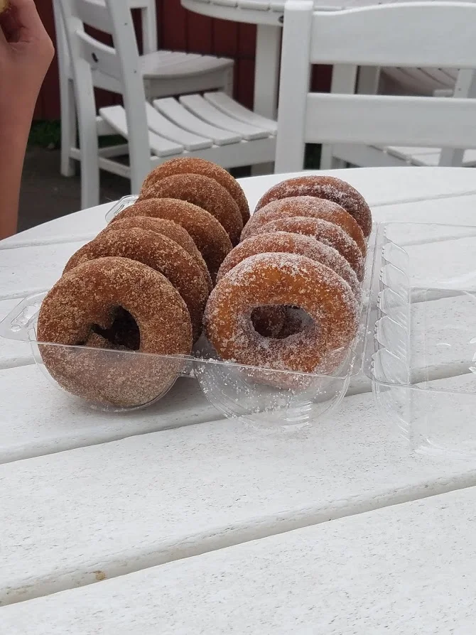 Cider Doughnut