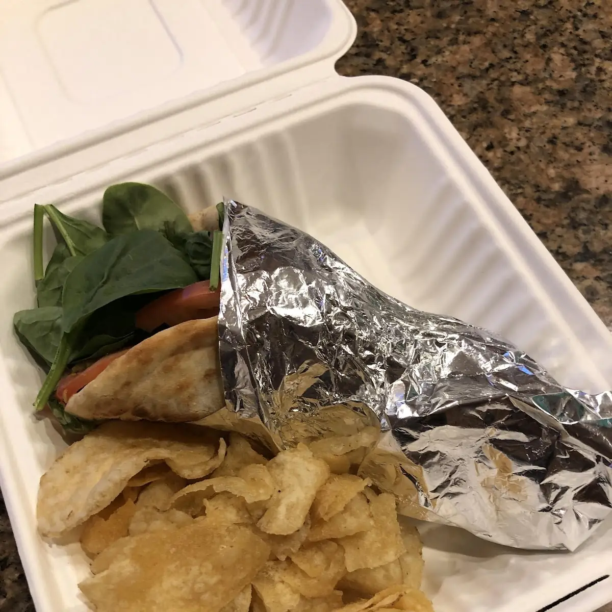Gyro Platter