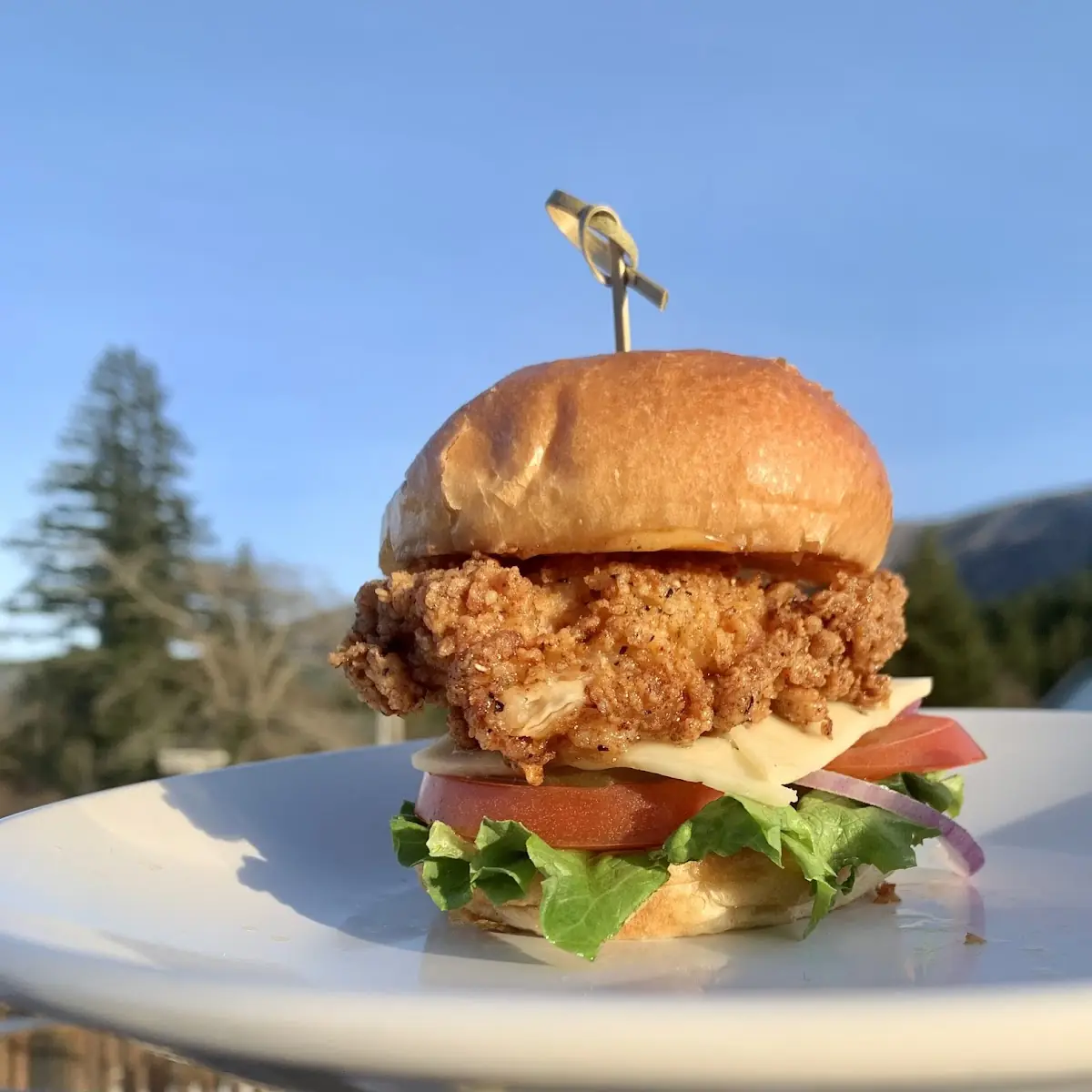 Fried Chicken Sandwich