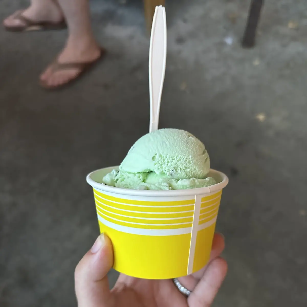 Mint Chocolate Ice Cream