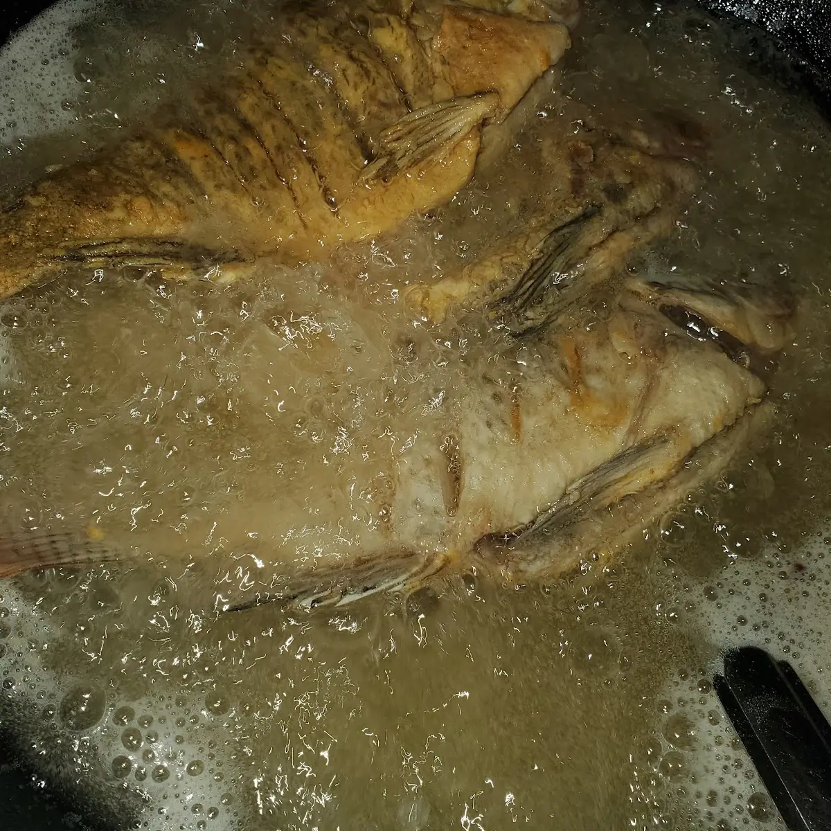 Fried Whole Tilapia Tilapia Fillet