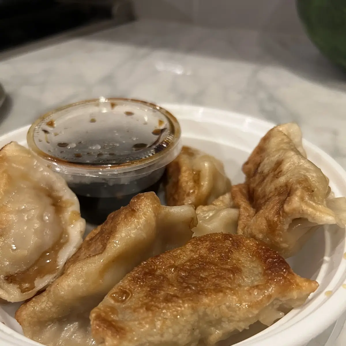 Fried Dumplings