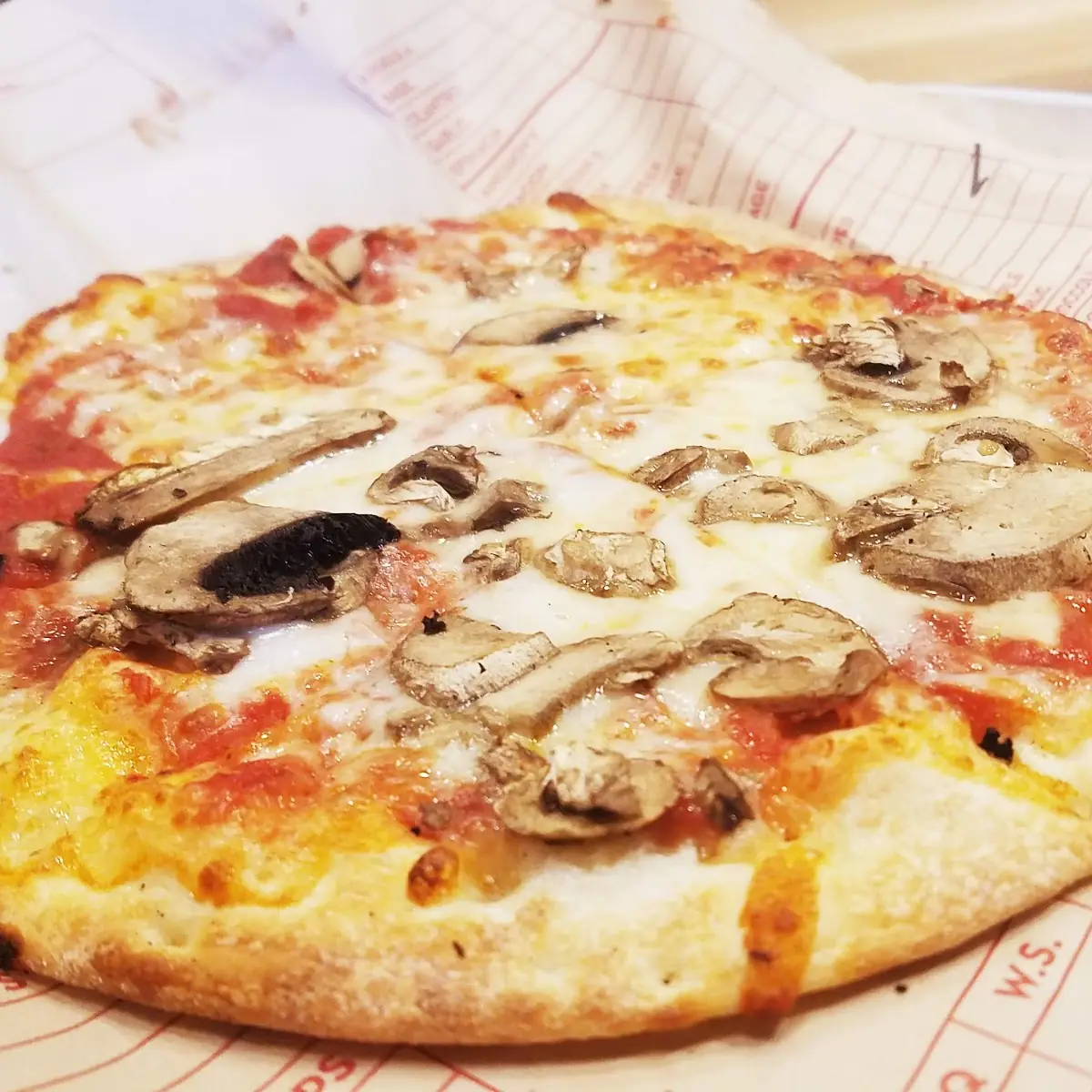 Mushroom Pizza