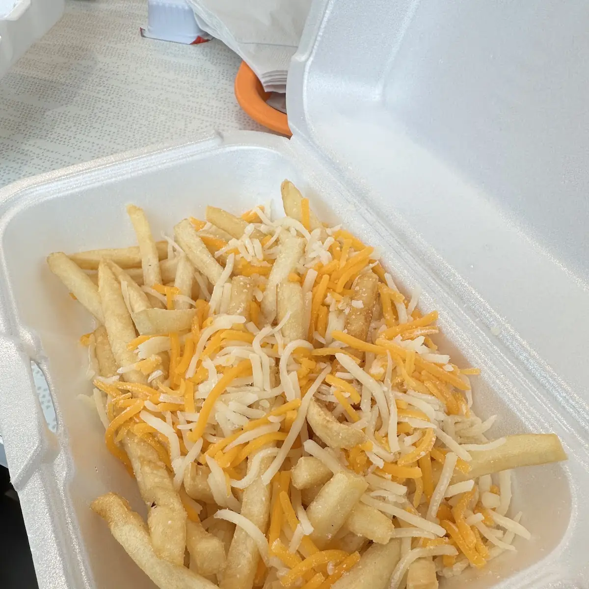 Cheese Fries