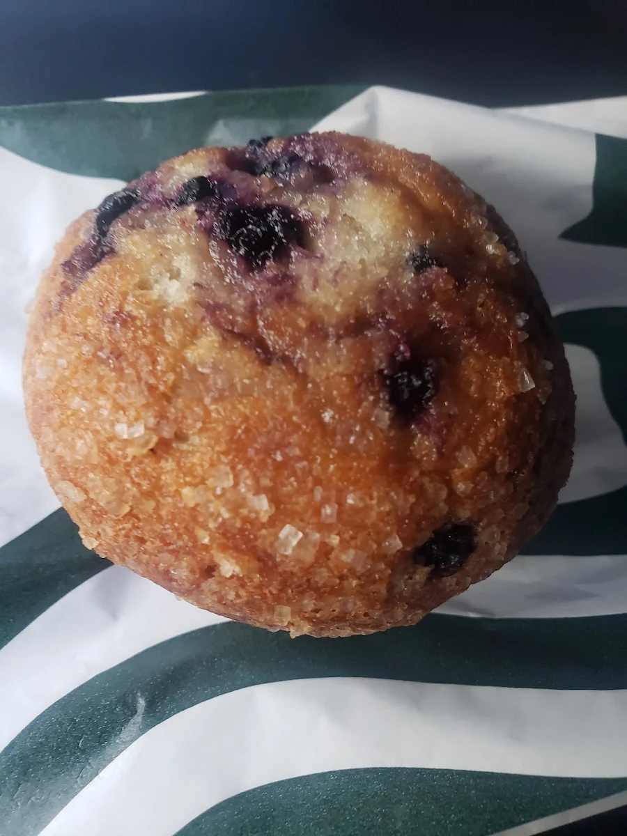 Blueberry Muffin