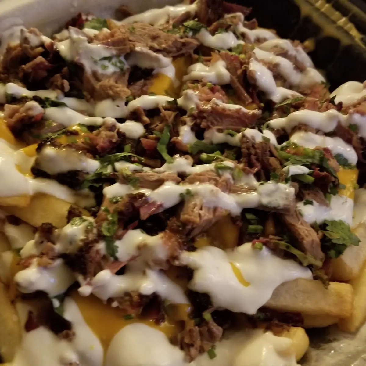 Carne Asada Fries