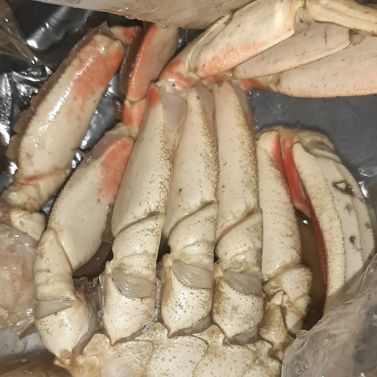 Snow Crab Cluster