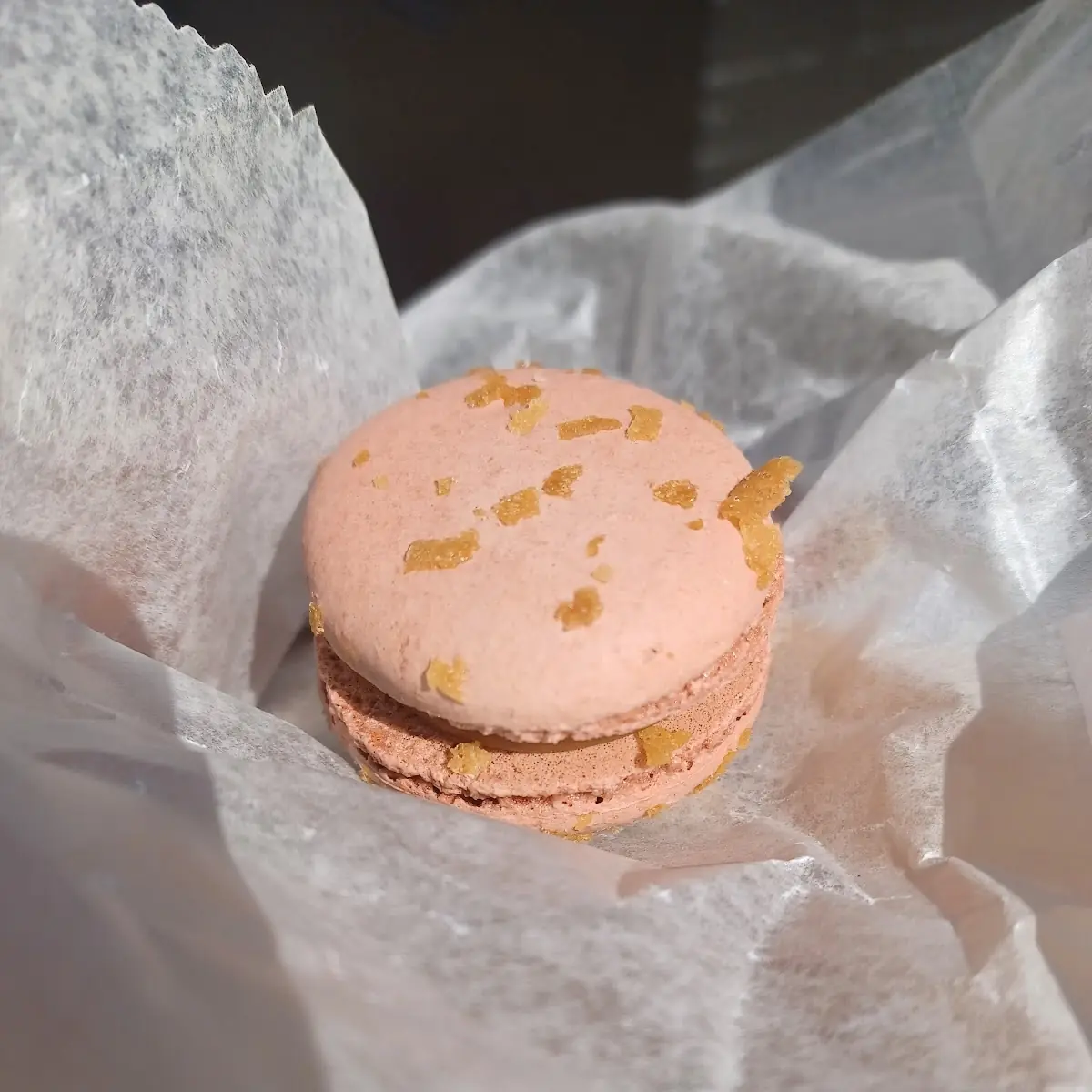 Salted Caramel Macarons