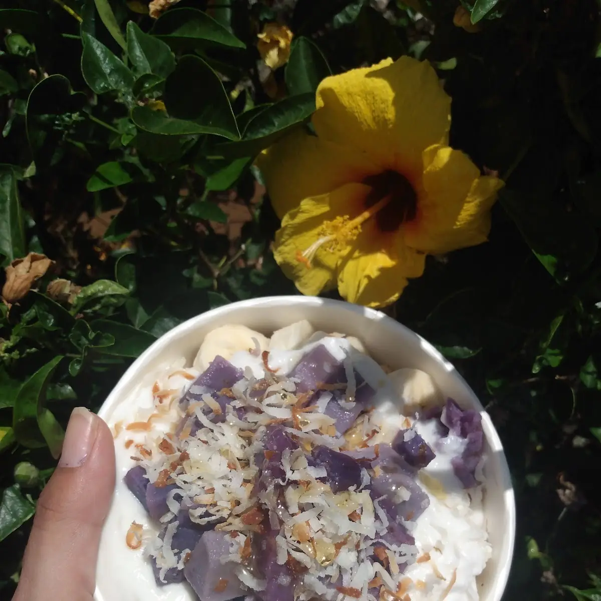 Makapuu Acai Bowl