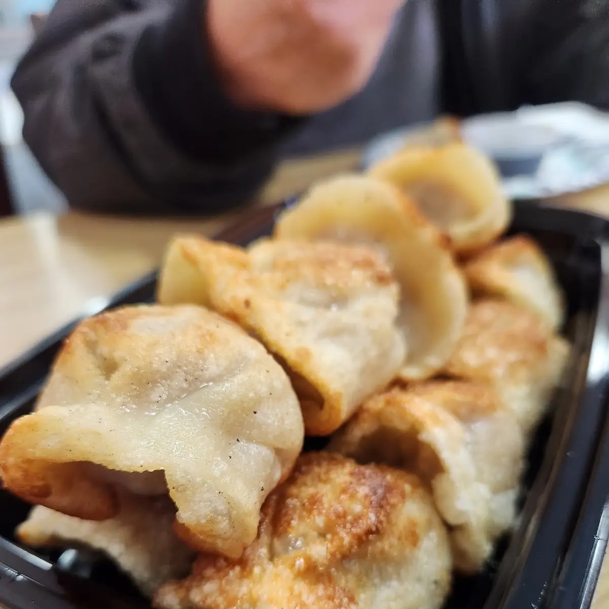 Pan-Fried Pork and Chive Dumplings