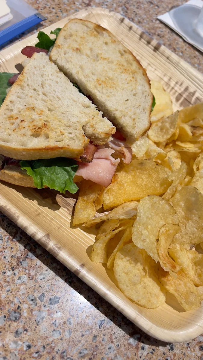 Toasted Ham Sandwich