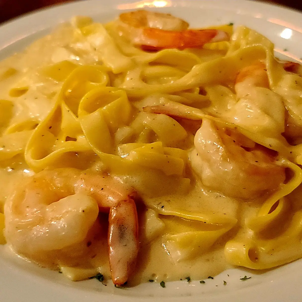Shrimp Alfredo