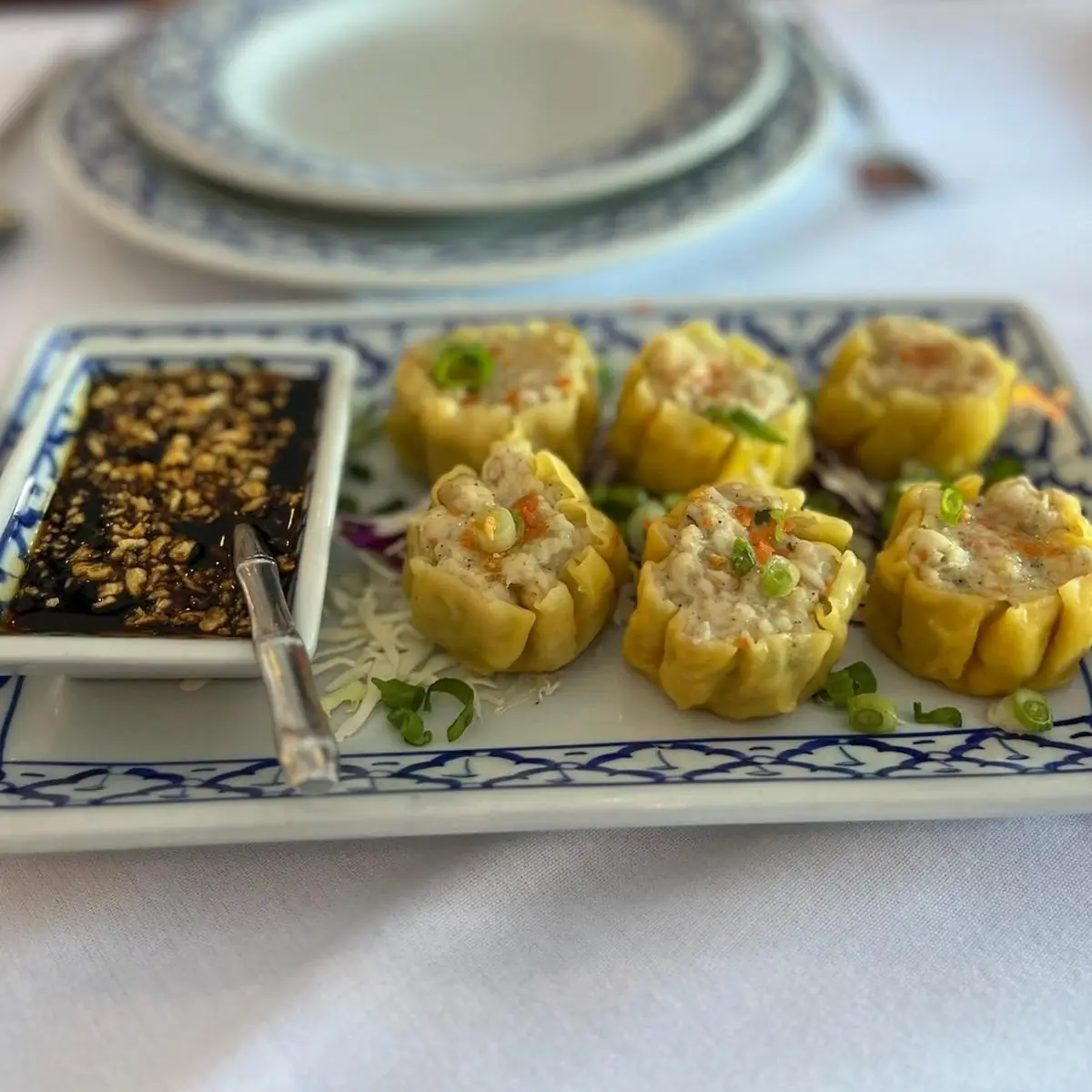 Northern Thai Wings