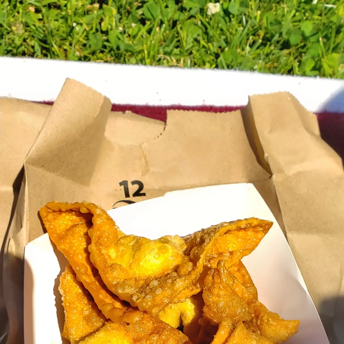 Moo Ping Fried Wantons