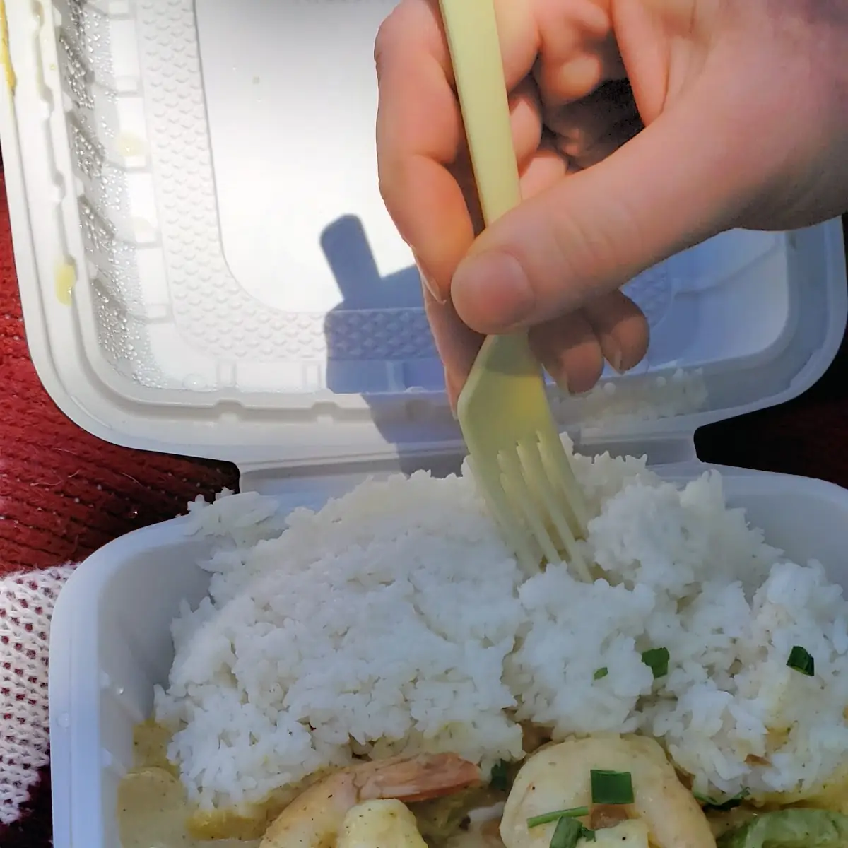 Yellow Curry