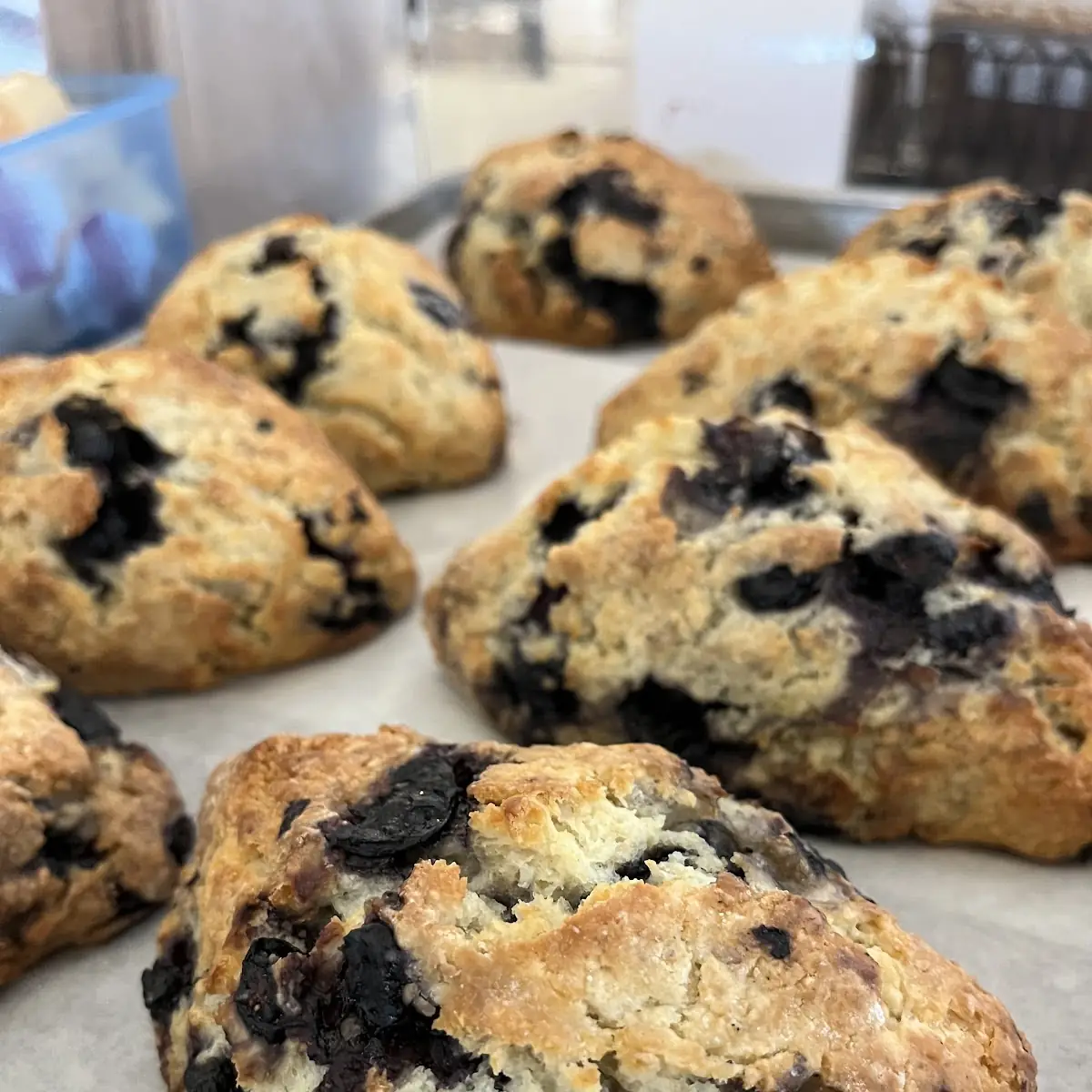 Freshly Baked Scones