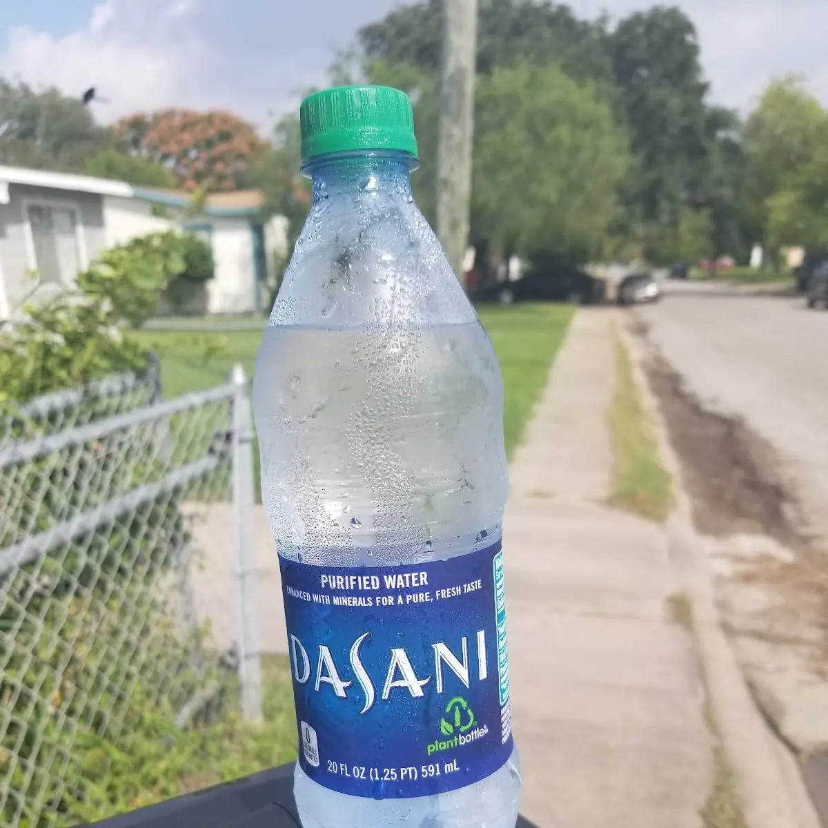 Dasani Bottled Water
