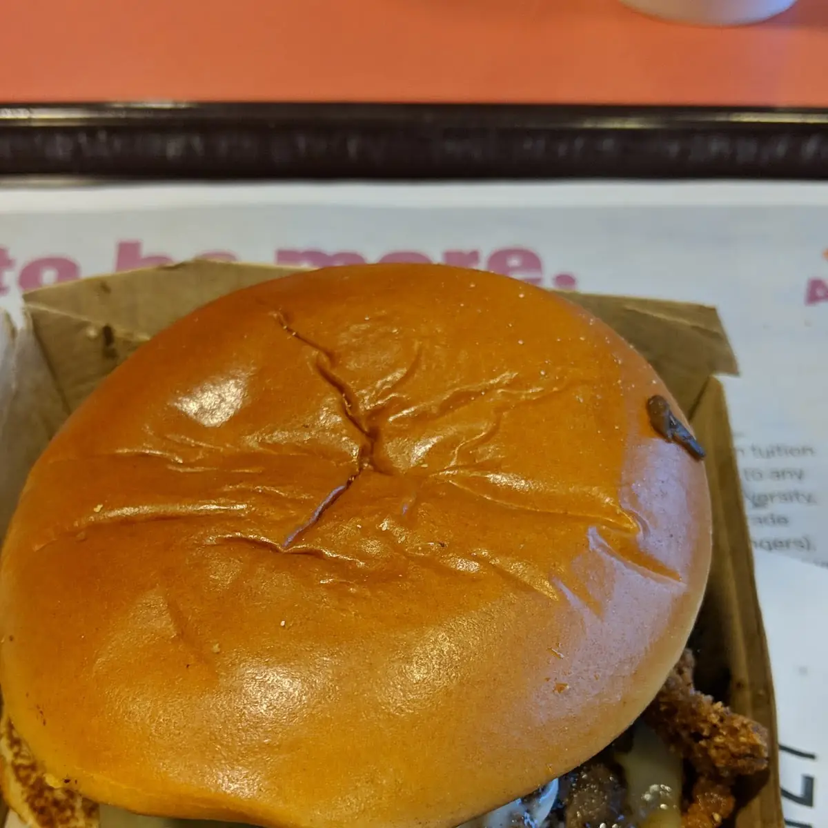 Mushroom Swiss Burger