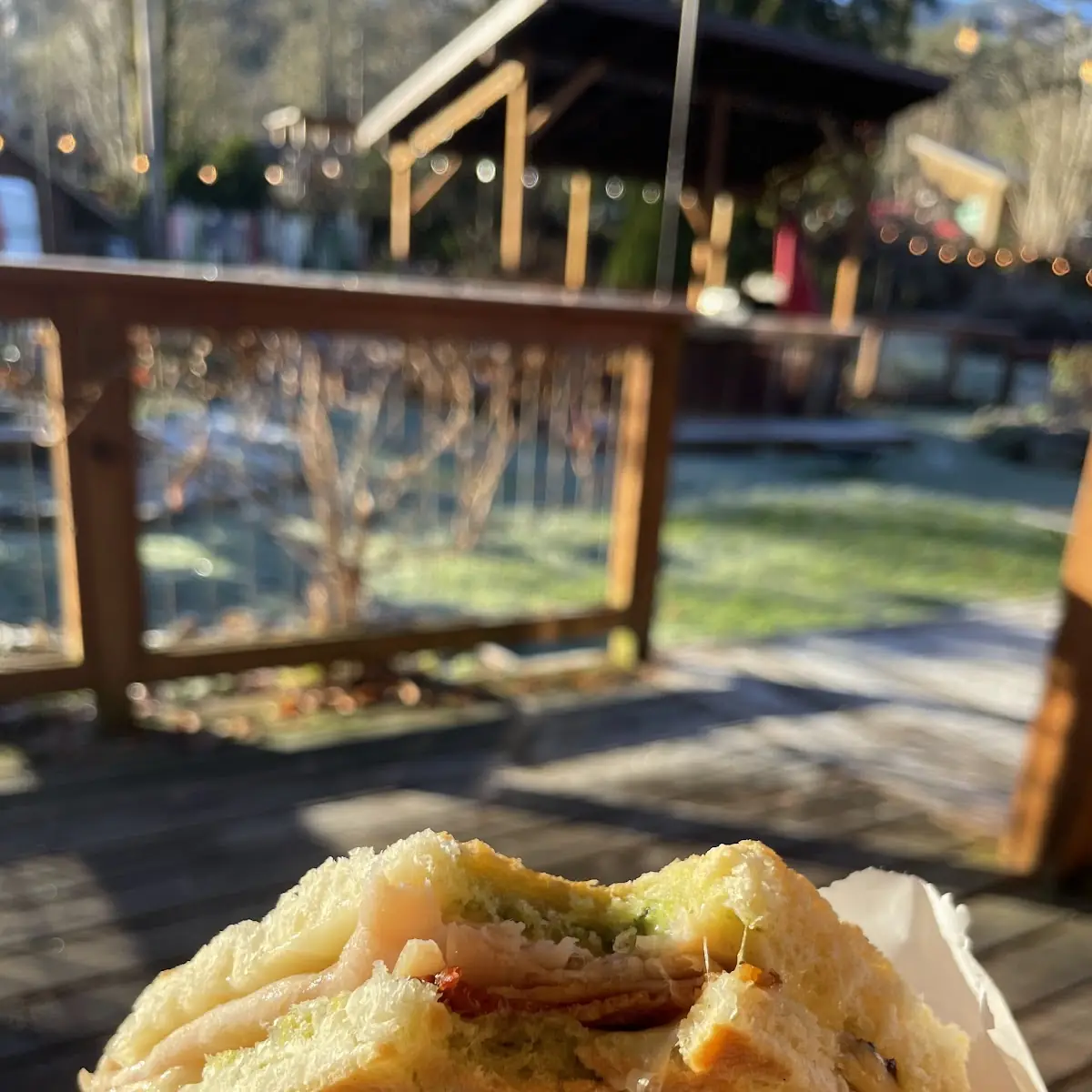 Turkey Panini