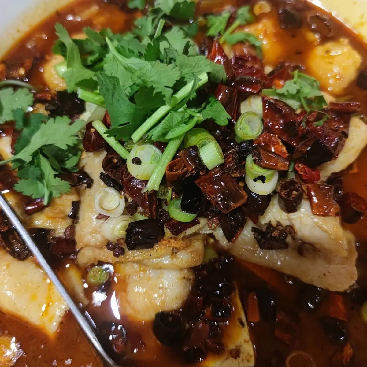 Spicy Sichuan Boiled Fish Fillet