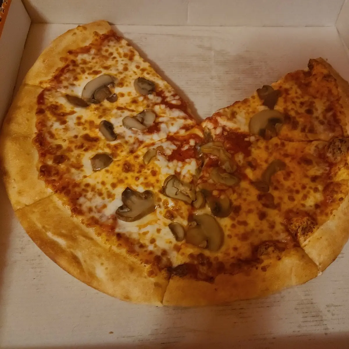 Mushroom Pizza